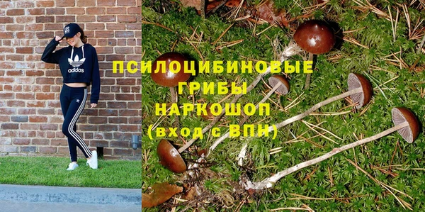 Альфа ПВП Армянск