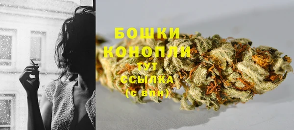 не бодяженный Арсеньев